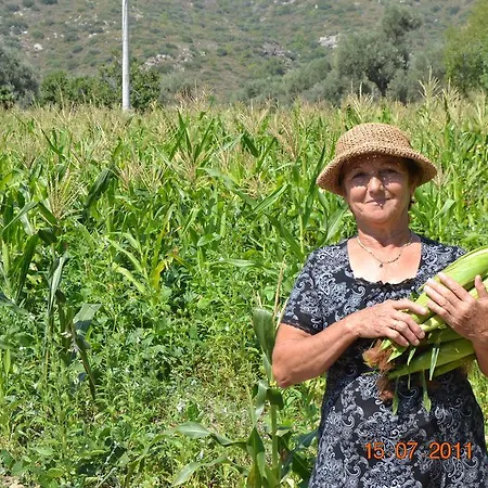Veziroglu
